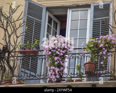 Ein Balkon mit blühenden Blumen und offenen Fensterläden, unter einem Fenster, das Licht in den Raum bringt, palermo, sizilien, mittelmeer, italien Stockfoto