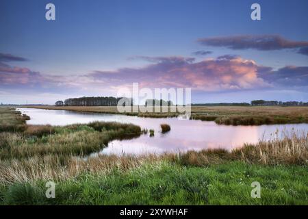 Rosa Wolken über Sümpfen bei Sonnenuntergang, Drenthe, Niederlande Stockfoto