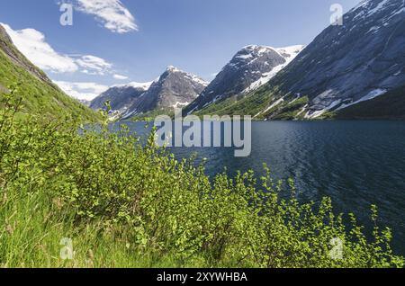 Landschaft am Kjoesnesfjorden, Joelster, Sogn og Fjordane Fylke, Norwegen, Mai 2012, Europa Stockfoto