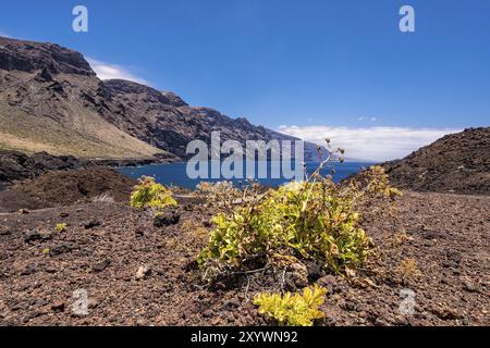 Die Teno Berge auf Teneriffa Stockfoto