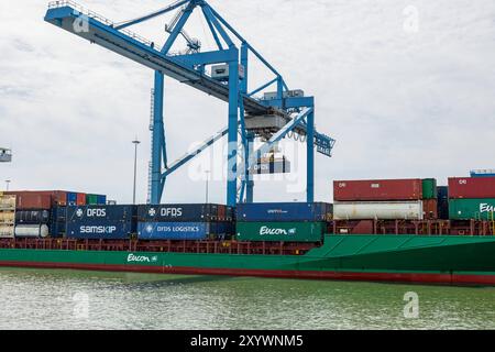 Krane lädt Container auf das Schiff im Frachthafen Rotterdam Niederlande - 9. Juli 2024: Frachtterminal im Fracht- und Industriehafen Rotterdam. Ein spezieller Containerkran lädt ein Schiff mit verschiedenen Containern am Kai. Edit netherlands rotterdam Container Port B97A6657 Stockfoto
