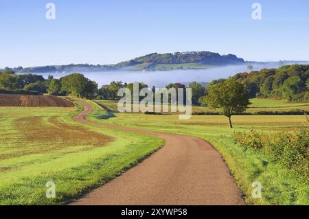 Burgund im Nebel, Burgund Landschaft im Morgennebel, Frankreich, Europa Stockfoto