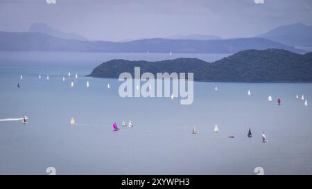 Blick auf Segelregatta auf Whitsunday Islands von einem Berg in der Nähe von Airlie Beach, Queensland, Australien, Ozeanien Stockfoto