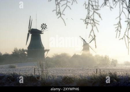 Zwillingswerke Greetsiel bei Winternebel, Krummhoern, Ostfriesland, hsen, Deutschland, Europa Stockfoto