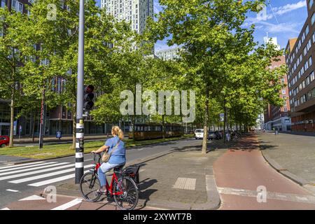 Städtische Begrünung, innerstädtische Straße Laan op Zuid, im Rotterdamer Stadtteil Feijenoord, 4 Fahrspuren, 2 Straßenbahnschienen, Radwege auf beiden Seiten, Gehsteige und p Stockfoto