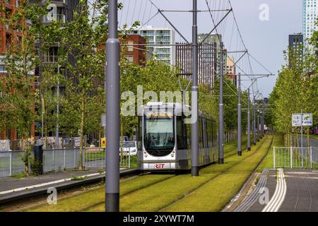 Städtische Begrünung, innerstädtische Straße Laan op Zuid, im Rotterdamer Stadtteil Feijenoord, 4 Fahrspuren, 2 Straßenbahnschienen, Radwege auf beiden Seiten, Gehsteige und p Stockfoto