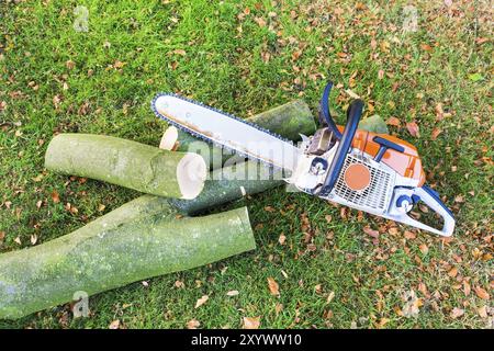 Kette Säge mit Baumstamm oder Ast auf grünem Gras Stockfoto