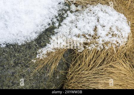 Stein- und Grasbauwerke, Vestvagoy, Lofoten, Nordland, Norwegen, März 2015, Europa Stockfoto