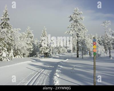 Liope in Branaes Stockfoto