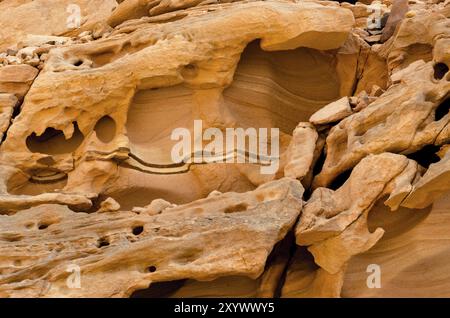 Textur von orangenem Steingestein in einer farbigen Schlucht-Nahaufnahme Stockfoto