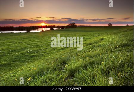 Dramatischer Sonnenuntergang über blühender Wiese am Fluss, Gelderlands, Niederlande Stockfoto