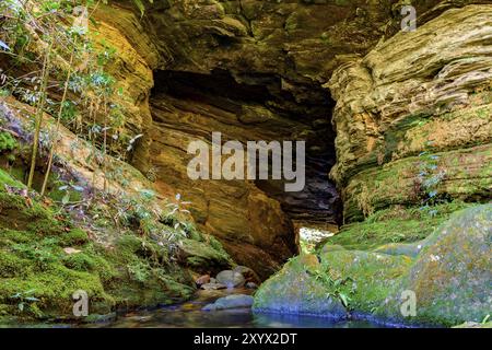 Stein Höhle Interieur mit kleinen Fluss und See durch die Vegetation der brasilianischen Urwald umgeben Stockfoto