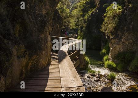 Cerrada de Elias, Ruta del rio Borosa, parque Natural sierras de Cazorla, Segura y Las Villas, Jaen, Andalusien, Spanien, Europa Stockfoto