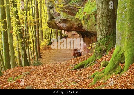 Altes Burggestein im Dahner Felsenland im Herbst, altes Burggestein im Dahn Rockland im Herbst, Deutschland, Europa Stockfoto