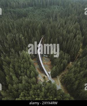 Ein Blick aus der Luft auf einen dichten Wald mit einer Brücke, die sich durch die Bäume schlängelt, unter einem bewölkten Himmel, Cowichan Region, Vancouver Island, BC, Kanada, Nord Stockfoto