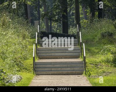 Ein Wanderweg führt eine Treppe hinauf durch eine grüne, bewaldete Landschaft, Bad Lippspringe, Deutschland, Europa Stockfoto