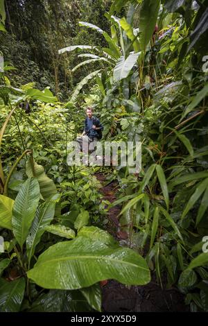 Junger Mann, Tourist auf einem schmalen Wanderweg zwischen dichter Vegetation im tropischen Regenwald, Laguna de Hule, Refugio Nacional de Vida Silvestre Mi Stockfoto