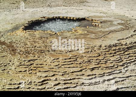 Dampfende Quellen und Fumarolen im geothermischen Gebiet von Hveravellir, Island, Europa Stockfoto