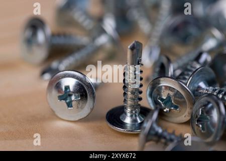 Selbstschneidende Stahlschrauben , selbstschneidende Schrauben zum Befestigen von Gegenständen an Holzgegenständen Stockfoto