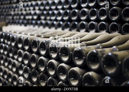 Wein oder Champagner Flaschen im Keller gereift. Nahaufnahme Stockfoto