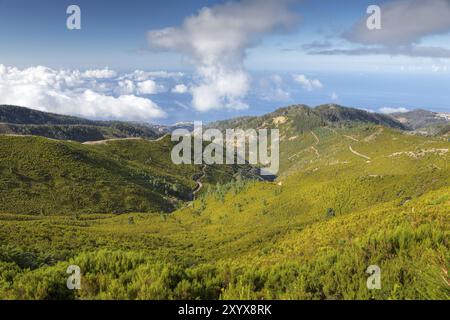 Landschaft auf der Insel Madeira, Portugal, Europa Stockfoto