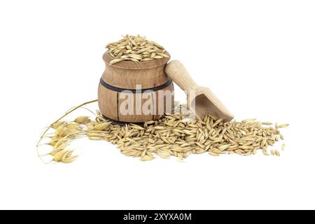 Haferkörner mit Rümpfen oder Schalen in einem kleinen Holzfass isoliert auf weißem Hintergrund. Landwirtschaft, Ernährung und Ernährung. Hafer oder Avena sativa Stockfoto