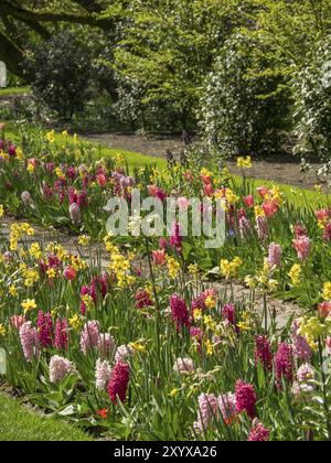 Ein farbenfrohes Blumenbeet in einem Garten mit blühenden Tulpen, Hyazinthen und Narzissen im Frühjahr, Amsterdam, Niederlande Stockfoto