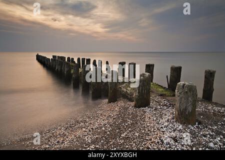 Groyne am Weststrand von Fischland-Darss Stockfoto