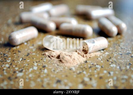 Nahaufnahme geöffneter lichtdurchlässiger Kapseln mit dem Arzneimittel Stockfoto