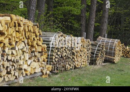 Holzstapel, Stapel aus Holz 48 Stockfoto