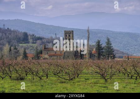 Abbaye Saint-Michel-de-Cuxa in Frankreich, Abbaye Saint-Michel-de-Cuxa in Frankreich mit Pfirsichblüte Stockfoto