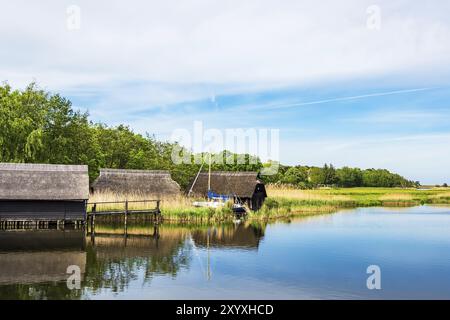 Bootshäuser auf dem Bodden auf dem Fischland-Darss in Prerow Stockfoto