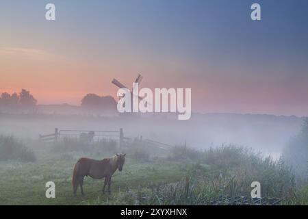 Pony im Nebel auf Weide und Windmühle, Sommersonnenaufgang, Groningen, Niederlande Stockfoto