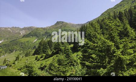 Fagaras-Gebirge, Südkarpaten, Rumänien, Europa Stockfoto