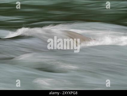Fließendes Wasser über Felsen in Stromschnellen Stockfoto