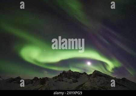 Nordlichter (Aurora borealis), Mefjorden, Senja, Troms Fylke, Norwegen, März 2015, Europa Stockfoto