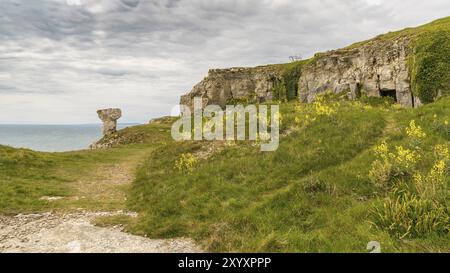 Steinbruch Ruinen von St aldhelm's Kopf, in der Nähe von Worth Matravers, Jurassic Coast, Dorset, Großbritannien Stockfoto