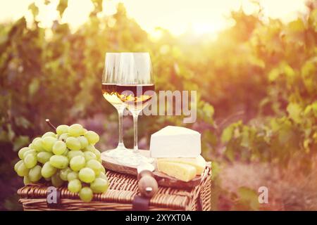 Verschiedene Arten von Käse und zwei Gläser Weißwein im Weinberg Stockfoto