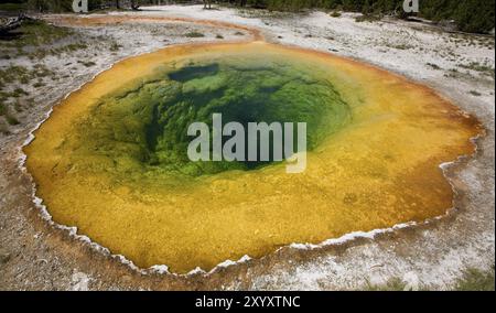 Der Morning Glory Pool im Yellowstone National Park Stockfoto