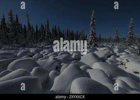 Winterlandschaft bei Mondschein, Muddus-Nationalpark, Laponia-Weltkulturerbe, Norrbotten, Lappland, Schweden, November 2017, Europa Stockfoto