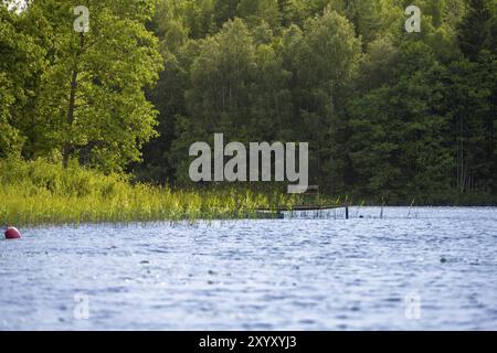 Kleiner Holzpier an einem See im Wald Stockfoto