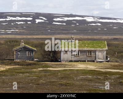 Ferienhäuser, in Tundra Landschaft, Varanger Nationalpark, Varanger Fjord, Mai, Norwegen, Europa Stockfoto