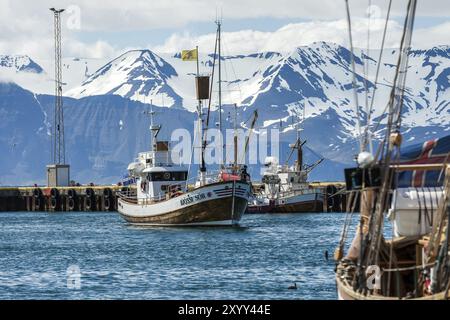 HUSAVIK, ISLAND, 29. JUNI: Walbeobachtungsboot fährt am 29. Juni 2013 in H mit verankerten Segelbooten und Bergen in den Hafen von Husavik ein Stockfoto