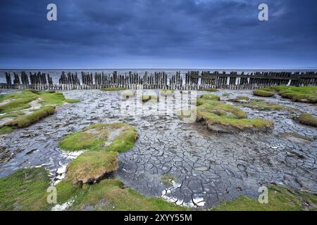 Alte Holzdeiche und Schlamm bei Ebbe der Nordsee, Moddergat, Niederlande Stockfoto