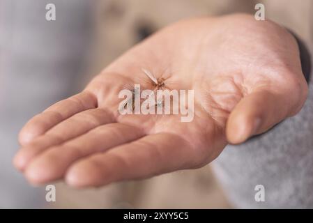 Fisherman zeigt Angelfliegenhaken in Handpalme Stockfoto