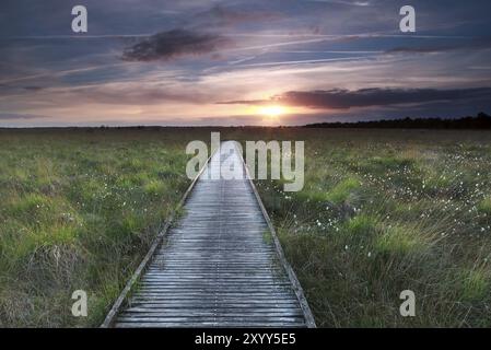 Holzweg auf dem Sumpfgebiet und Sommersonnenuntergang Stockfoto