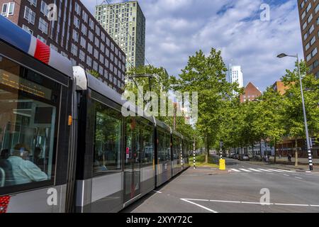 Städtische Begrünung, innerstädtische Straße Laan op Zuid, im Rotterdamer Stadtteil Feijenoord, 4 Fahrspuren, 2 Straßenbahnschienen, Radwege auf beiden Seiten, Gehsteige und p Stockfoto