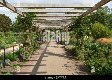 Die Rose Pergola in Kew Gardens, Greater London, Großbritannien Stockfoto