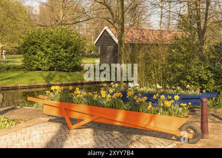 Lisse, Niederlande, April 2022. Der Keukenhof-Garten mit typisch holländischer Landschaft mit Narzissen, Tulpen und Windmühle Stockfoto