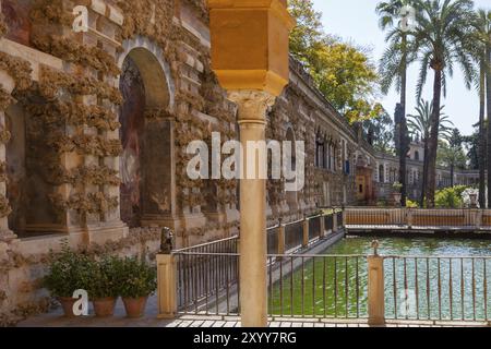 Jardines del Alcazar, Gärten mit Palmen im Alcazar, Königspalast von Sevilla, Sevilla, Spanien, Europa Stockfoto